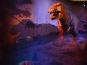 2011_12_London (90)